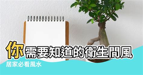 廁所方位 禁忌|居家必看風水》該怎麼裝潢？廁所有什麼禁忌？住宅3。